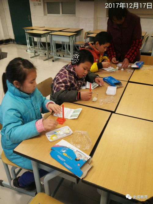 金山区困境家庭青少年服务教育项目 活动篇