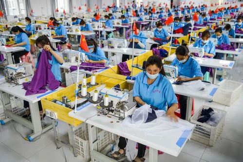 国新办发布 新疆的劳动就业保障 白皮书