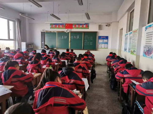 青年力量,教育服务 初次见面