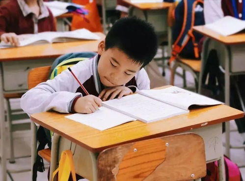 记者调查 课后服务 学些啥 费用谁来出 家长怎么看 老师干不干