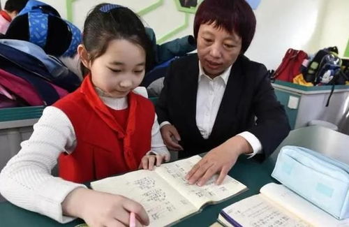 新通知 课后延时服务迎来 新调整 ,有望今年9月实行