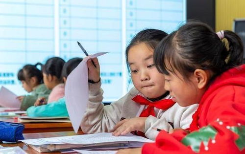 义务教育延时服务或将取消 费用有望于7月全额退还